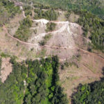 Tagliano bosco in area sottoposta a vincolo paesaggistico, due denunce nel Vibonese