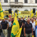 Coldiretti Calabria ha partecipato alla manifestazione a Roma