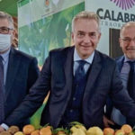 Ministero Agricoltura da parere favorevole riconoscimento D.O.P. Cedro di Santa Maria del Cedro