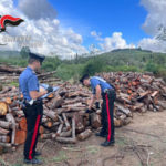 I carabinieri scoprono i presunti autori di un furto di legname