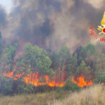 Incendi in Calabria, oggi già eseguiti 31 interventi: colpite tutte le Province