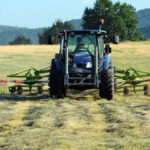 Agricoltura:censimento Istat, in Calabria calo aziende 30,7%