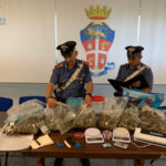 Rende,Sorpreso con 2 kg di marijuana in casa: arrestato dai Carabinieri