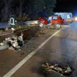 Scontro tra auto e moto sulla strada statale 107 Silana Crotonese, muore 27enne