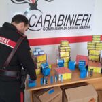 Sellia Marina: I Carabinieri sequestrano materiale pirotecnico