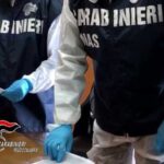 Reggio Calabria: i carabinieri del Nas eseguono 2 arresti per maltrattamenti e abbandono di persone incapaci