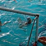 Pallanuoto, doppia vittoria nel weekend per l’Arvalia Lamezia