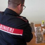 Sellia Marina: 35enne arrestato dai carabinieri per droga