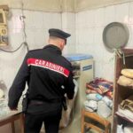 Lamezia, carabinieri chiudono forno abusivo: sequestrati 60 chili di pane