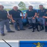 Catanzaro: la Polizia di Stato salva un cane che rischiava di essere travolto