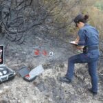 Bilancio dell’attivita’ carabinieri forestali nel settore della prevenzione degli incendi boschivi