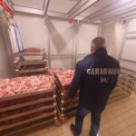 Carabinieri del N.A.S. di Reggio Calabria: sequestrate 2 tonnellate di salumi e carne