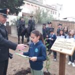 Reggio Calabria giornata nazionale degli alberi