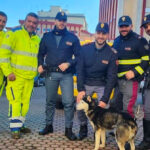 Cane vagava sulla statale 682 “Jonio-Tirreno”, salvato da Anas e Polizia Stradale