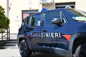 I Carabinieri della Compagnia di Soveria Mannelli hanno intensificato i controlli