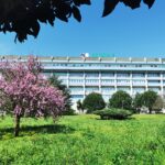 Il Centro Unico Prenotazioni del Presidio Ospedaliero di Lamezia Terme in fase di riorganizzazione per migliorare l’erogazione del servizio