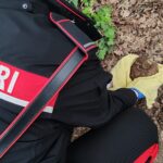 I Carabinieri soccorrono e salvano due specie protette: una “civetta” ed una “tortora orientale dal collare”