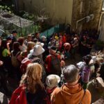 Serrastretta: Edrevia e il risveglio di un paese