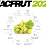 La Calabria verso Macfrut 2024, l'assessore all'agricoltura: "settore fondamentale: pronti per ulteriore salto di qualità"