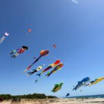 Ritorna il festival degli aquiloni sulla spiaggia di giovino il 6 e 7 luglo