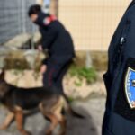 Lamezia: spaccio di sostanze stupefacenti, un Arresto in Flagranza di reato