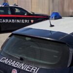 Reggio Calabria: stop all’abbandono di animali domestici – i carabinieri intensificano i controlli e offrono consigli utili