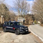 Decollatura (CZ): Controlli dei Carabinieri sulla corretta detenzione degli animali da affezione