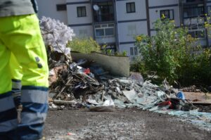 Viale Isonzo, Colosimo": "Avviata un'ampia operazione di pulizia nell'area 1"